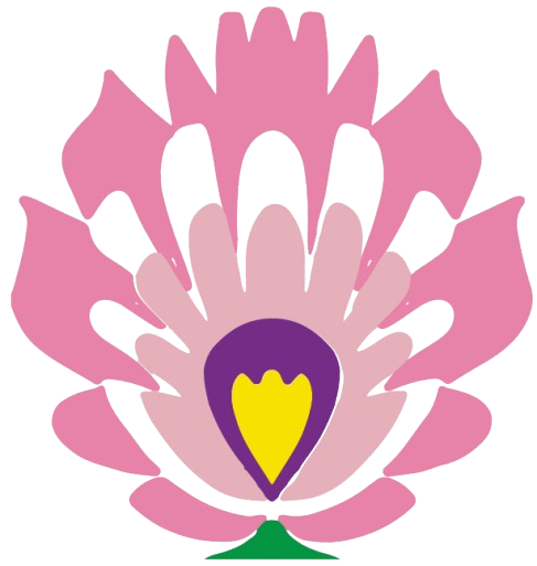 Logo_dom_mam_isa-removebg-preview